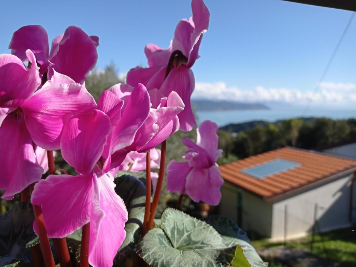 Le Vigne Di Lenf Διαμέρισμα Πόρτο Βένερε Εξωτερικό φωτογραφία