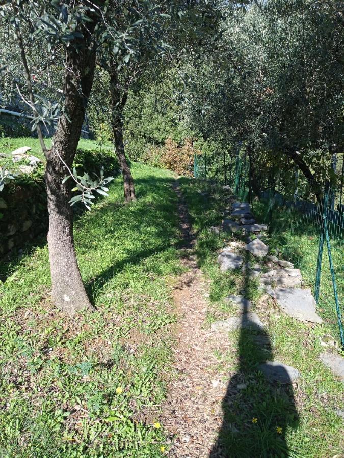 Le Vigne Di Lenf Διαμέρισμα Πόρτο Βένερε Εξωτερικό φωτογραφία